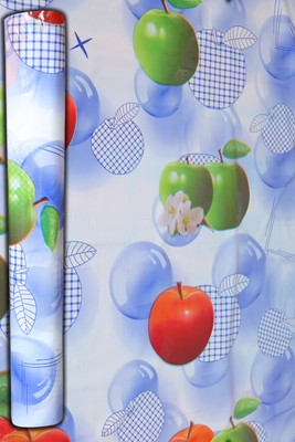 Ganesh Das PVC 6 Seater Floral Table Cover(Blue with Red & Green Apple Design)