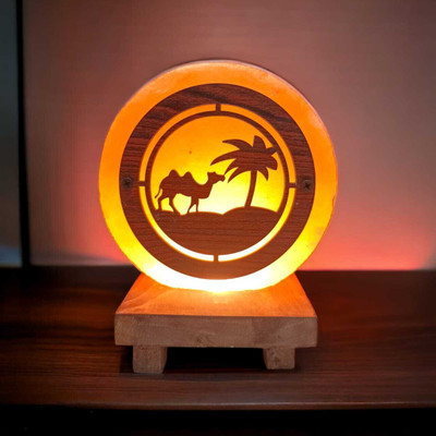 GLOBAL AROMA Mini 3D Desert Camel Himalayan Rock Salt Lamp for Vastu, Feng Shui, Healing Table Lamp(18 cm, Orange)