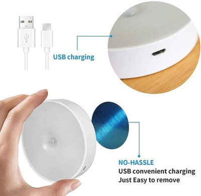TechKing Motion Sensor Light Battery Operated Indoor/Outdoor LED Night Lamp(2 cm, Multicolor)