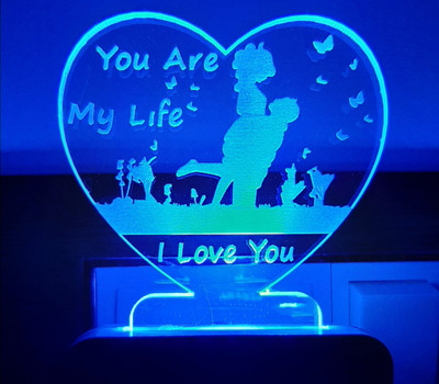 Feelon I LOVE COUPLE Acrylic 3D Illusion RGB 7 Colour Changing LED Plug and Play Night Lamp(10 cm, Multicolor)