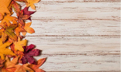 REVEXO Rectangular Pack of 1 Table Placemat(Multicolor, PVC)