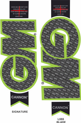 CANDLE Signature . English Willow Short Handle Cricket Bat Size-Mens, Wooden Bat Sticker(Green)