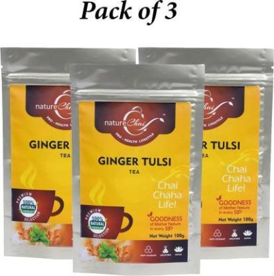 Nature Chai | Ginger Tulsi Tea | Herbal Tea Pouch(3 x 100 g)