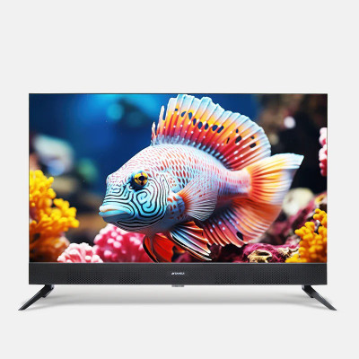 Sansui SANSUI 80 cm (32 inch) QLED HD Ready Smart Google TV with In Built Sound Bar, Dolby Audio & A+Panel(JSS32GSHD)