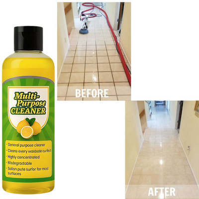 Lucacci Herbal Defence FlushToilet Cleaner Lemon Liquid Toilet Cleaner(100 ml)
