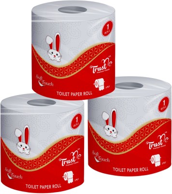 Trust me TOILET ROLL 10x10cm (2PLY) 350N SOFT (PACK OF 3) Toilet Paper Roll(2 Ply, 350 Sheets)