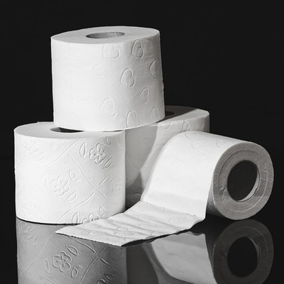 Everbite Eco friendly Soft Toilet Tissue Paper Rolls, Bathroom Tissue Roll Pack of 3 pcs Toilet Paper Roll(2 Ply, 240 Sheets)