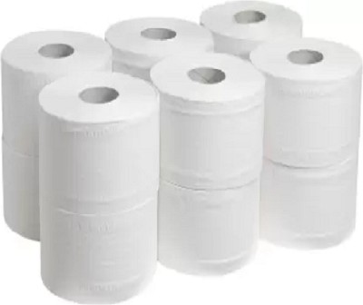 Shrirays Pack of 6 Toilet Roll Tissue |Absorbing Soft Tissue Roll Toilet Paper Roll(2 Ply, 250 Sheets)