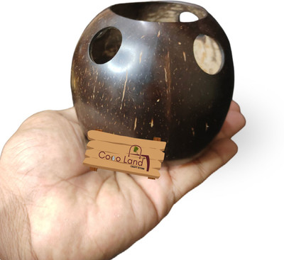 Coco Land Coconut Shell Brush Holder (Pack of 1) Pencil Holder/ Pen Holder /Knife Holder Wooden Toothbrush Holder(Brown)