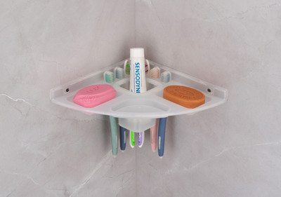 DIVON DIVON629 WHITE Plastic Toothbrush Holder(White, Wall Mount)