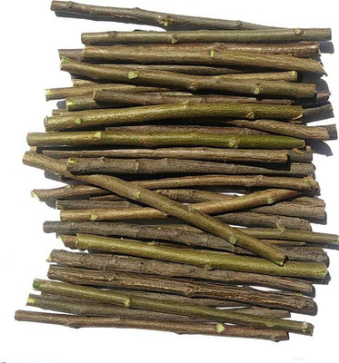 dhyan creation Neem Datun Medium Toothbrush(Pack of 10)
