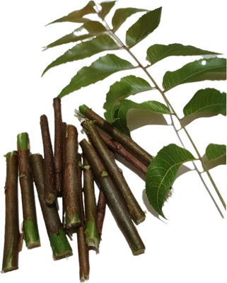 Saikiruba Atmika orgnic neem stick Medium Toothbrush(Pack of 20)