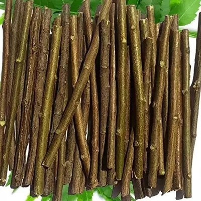 wequality Natural Neem Chew Sticks/Tree Datun Twigs Organic manual Toothbrush for adults Medium Toothbrush(Pack of 20)