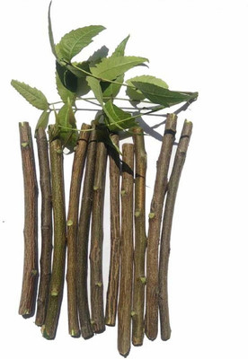 Ayushkacrafts Ayurvedic Natural Organic Neem Datun Toothbrush Nim Tree Twigs Chew Sticks for Brushing Teeth Removes Bad Breath, Relieve Tooth Ache Soft Toothbrush(Pack of 20)