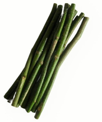 PuspLata || KARANJ - Datun | Datwan | Chewstick || 20 cut-pieces || Soft Toothbrush(Pack of 20)