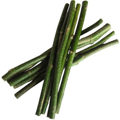 TIMOSHA || KARANJ - Datun/Twig/Datwan/Stick | 20 pcs. || Soft Toothbrush(Pack of 20)