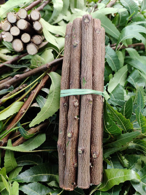 Retail Charms Ayurvedic Natural Organic Neem Datun,manual Toothbrush Neem Twigs Chew Sticks Medium Toothbrush(Pack of 20)