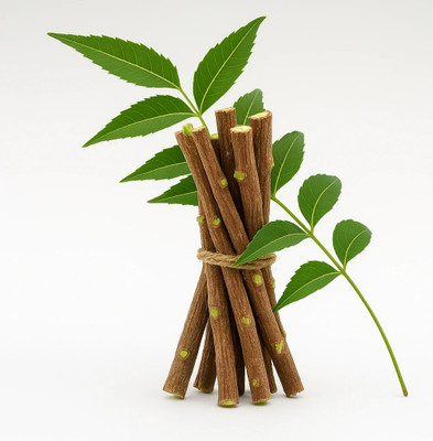NEEM DATOON pure neem natural datun sticks Medium Toothbrush(Pack of 10)