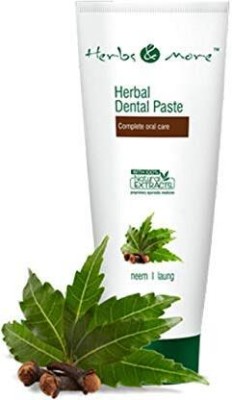 NETSURF Herbal Dental Paste Toothgpaste0.125g Toothpaste(125 g)