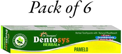 pamelo dentosys herbal green toothpaste Toothpaste(600 g, Pack of 6)