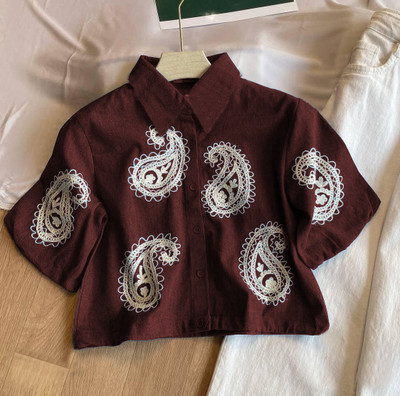 HIR COUTURE Casual Embroidered Women Brown Top
