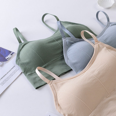 Vihrik No Women Everyday Lightly Padded Bra(Multicolor)