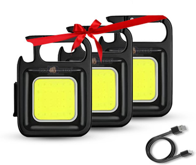 Pick Ur Needs Chargeable Mini Pocket Keychain LED 2 Mode Light Keychain For Bike / Home / Car Torch(Black, 4 cm, Rechargeable)