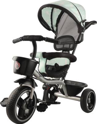 Comfort tricycle online