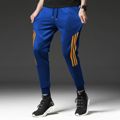 Joggers Park Striped Men Dark Blue Track Pants