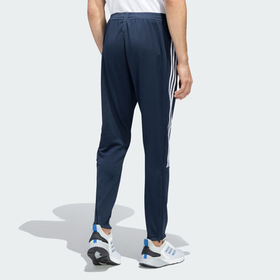 ADIDAS Graphic Print Men Blue Track Pants