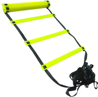 PlayZdict Plastic 4 m Trampoline Ladder(Suitable For 4 m Trampoline)