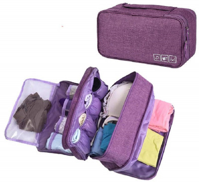 Keetoz New Undergarments and Inner wear Storage Case Organizer Travel Pouch Bag Travel Toiletry Kit(Multicolor)