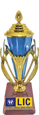 BAREEZÉ PURE 10 inch Premium Trophy for lic Trophy(10 INCH)
