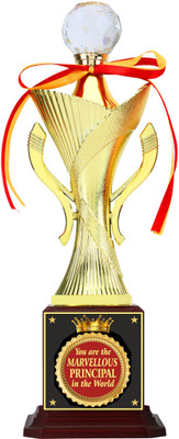 AARK INDIA MARVELLOUS Gift for Principal birthday:function:sports day:annual day (PC002701) Trophy(12inch)
