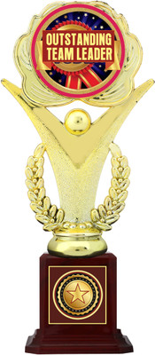 AARK INDIA TEAM LEADER,winner/target completed/corporate function trophies award(PC002517 Trophy(11 inch)