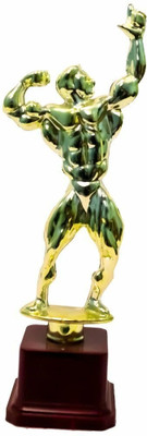 VS Sports Bodybuilding Trophy Hand Up Trophy(14 Inch)