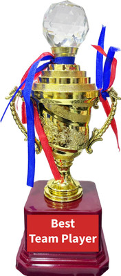 Fitdex “Best Team Player” Trophy with Medal/Award/Gift Trophy medal Medal F-357.. Trophy(10 Inch)
