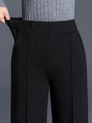 Wolica Regular Fit Women Black Trousers