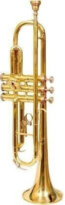 ARB Standard TRUM-22 Gold Bb Trumpet for Beginner or Advanced - Musical instrument - Shinny Gold Bb Trumpet(Yes)
