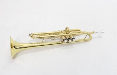 Rmze Standard TRUM-254 Gold Bb Trumpet for Beginner or Advanced - Musical instrument Gold-T-02 Bb Trumpet(No)