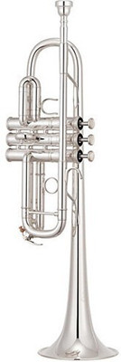 ARB Professional TS-01 Bb Trumpet(glossy)