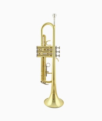 Sheery Gold Edition SMGT-8 Bb Trumpet(Polished)