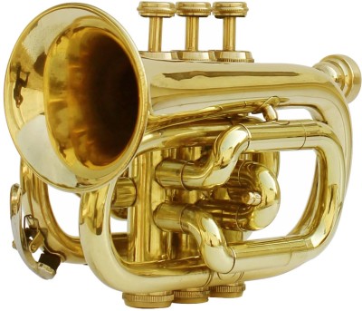 s s exports 2023 Pocket Trumpet(Brass)