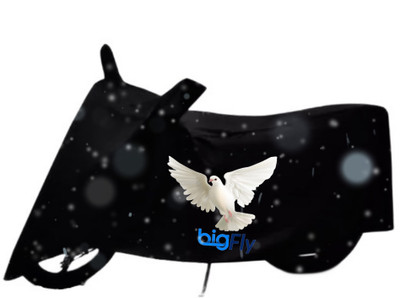 BigFly Waterproof Two Wheeler Cover for Suzuki(Avenis 125, Black)