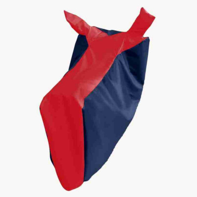 AIKOZIYA Waterproof Two Wheeler Cover for TVS(Scooty, Red, Blue)