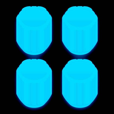 JN STORE Plastic Tyre Valve Cap for Bike(Cylinder)