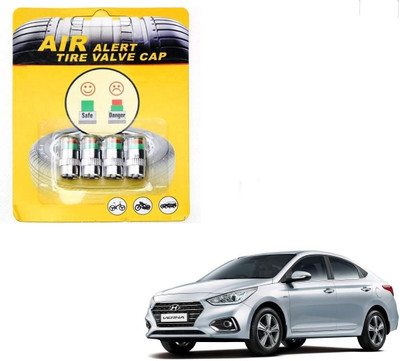 Motopex Steel Tyre Valve Cap for Car, Bike(Cylinder)