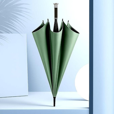 Worldwise Royal Classic Handle Umbrella Auto Open Windproof Unbreakable Stick Rain Umbrella(Green)