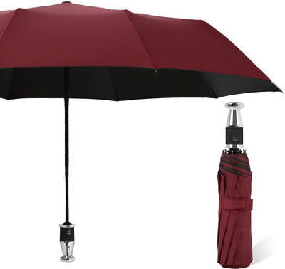 Lariox Travel Umbrellas Windproof Automatic Open And Close Umbrella(Multicolor)