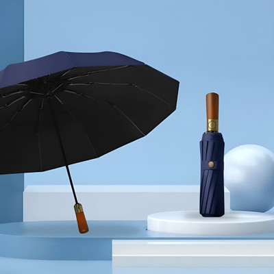 GRACIOUS MART Automatic Open, Waterproof Windproof Travel Umbrella For Rain Umbrella(Blue)